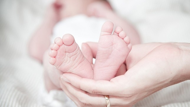 ivf